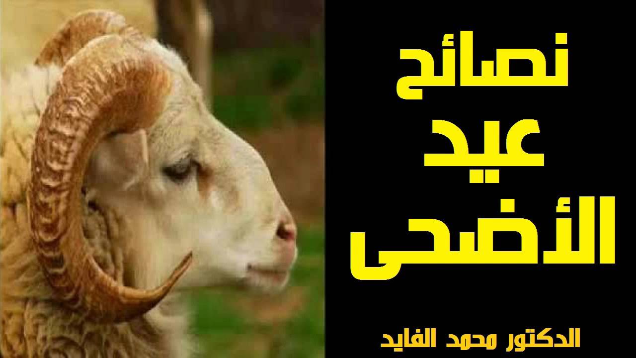 نصائح عيد الأضحى محمد الفايد