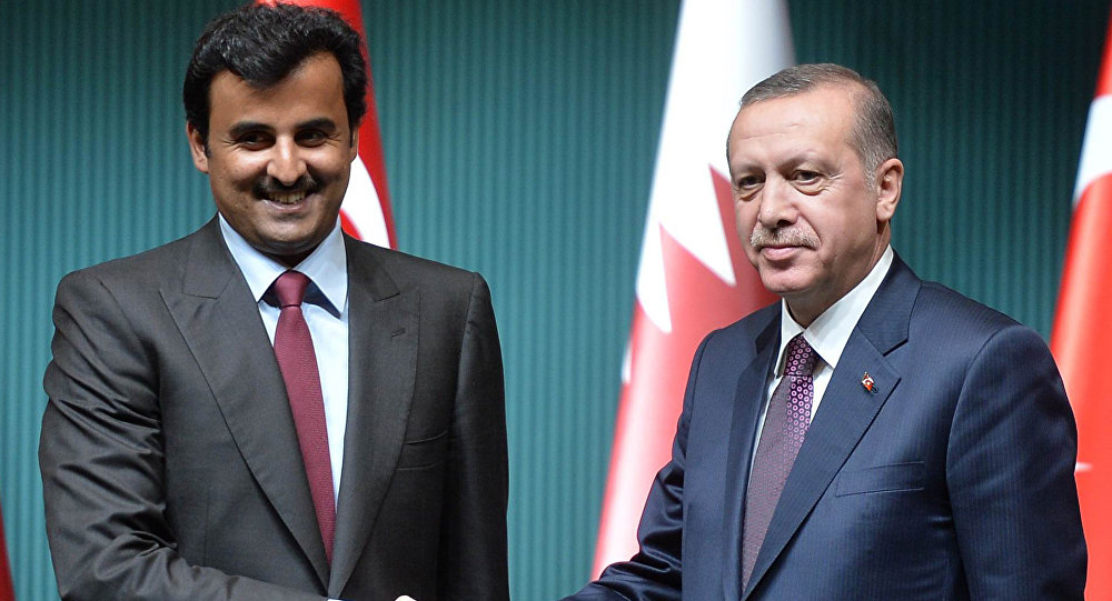 أردوغان وأمير قطر